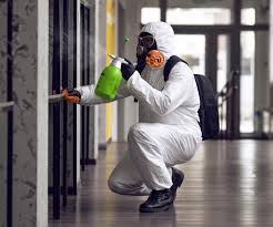 Best Comprehensive Air Testing for Mold Contaminants  in Prien, LA